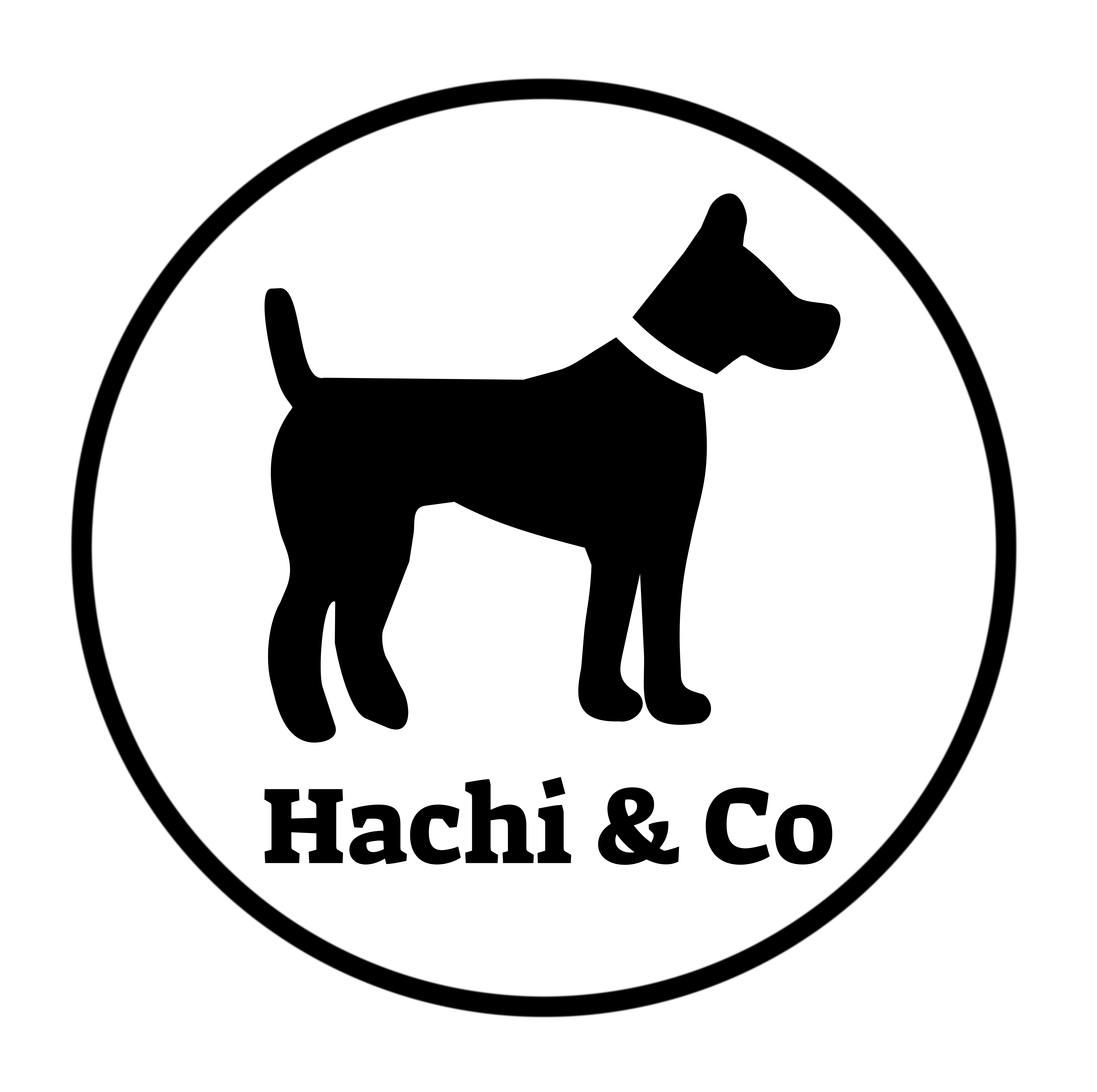 Hachi & Co